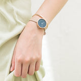 Storm Cloud Camel 28mm + VELVET GOLDMINE S Gift Box